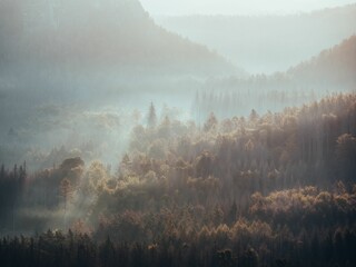 Fototapeta premium Beautiful shot of forest mountains in foggy weather