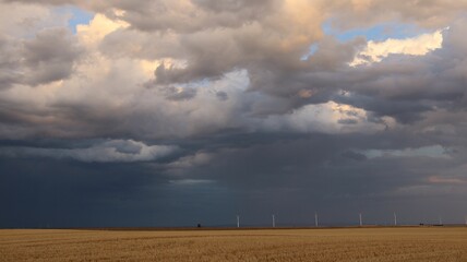 Gloomy gray sky full of large cumulus clouds with the promise of rain hanging over a wheat field - Powered by Adobe