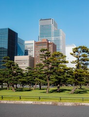 Vertical shot of several modern buildings in Tokyo behind a well-maintained green park