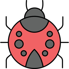 Ladybug 