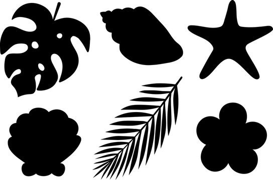 Set seashell starfish tropical leaves silhouette vector illustration