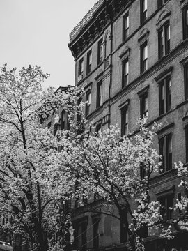 Black and white shot of a tall building in New York © Stempien-lauff Nicolas/Wirestock Creators