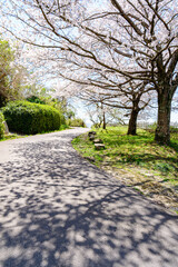 【奈良県】山辺の道