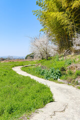 【奈良県】山辺の道