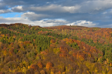 A forested mountain (Cergowa) in autumn colors in Beskid Niski, Poland. - obrazy, fototapety, plakaty