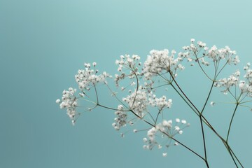 Flowers composition romantic. flowers, photo frame on pastel blue background. Valentine's Day, Easter, Birthday, Happy Women's Day, Mother's day. Flat lay, top view, copy space. Generative Ai