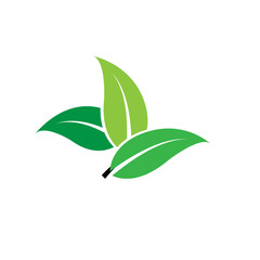 LEAF icon design template vector