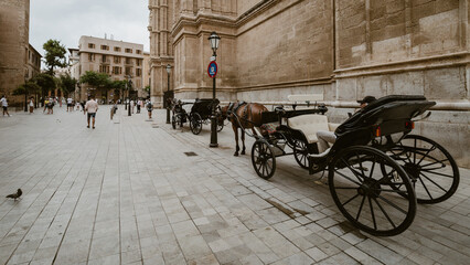 Fototapeta na wymiar horse drawn carriage in front of a church