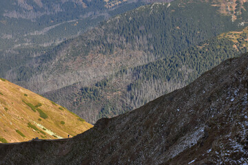 A high-mountain hiking trail in the Western Tatras.