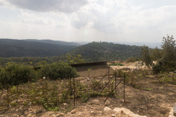 view of the mountains