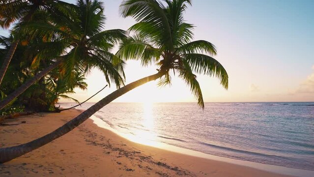 Beautiful evening sunset on a tropical paradise beach. Calm summer vacation or festive landscape. Sea sunset on the coast with palm trees. Calm waves. Exotic nature view. Inspirational seascape.