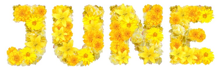 word june with yellow flowers - obrazy, fototapety, plakaty