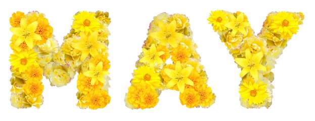 word may with yellow flowers - 592634866