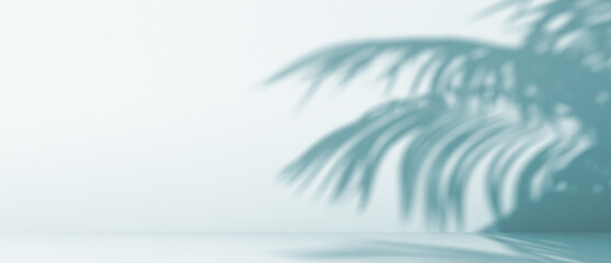 Fototapeta na wymiar blurred shadow of palm leaves on a blue wall. Abstract minimal background for a product presentation. Summer and spring seasons, texture for a display