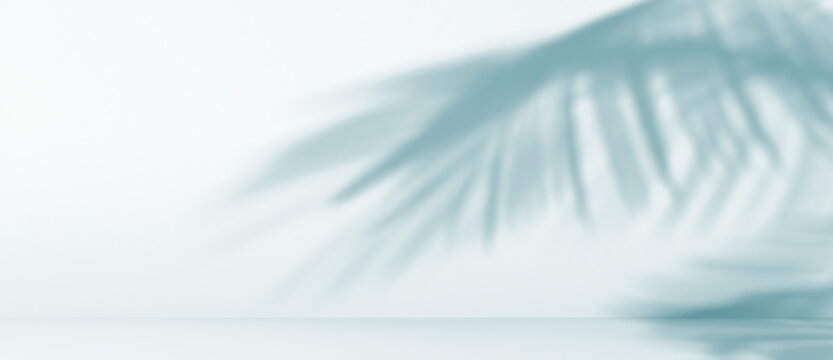 blurred shadow of palm leaves on a blue wall. Abstract minimal background for a product presentation. Summer and spring seasons, texture for a display