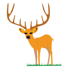 A deer with long horns stands on the grass and looks forward-vector Artwork