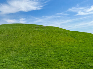 Idyllic Green Hill and Meadow Outdoor Springtime Scene