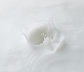 Cosmetic container white lotion droplet fly splashing. Milk lotion pour float to cosmetic bottle. Moisturizer lotion explosion spill. White background isolated high speed shutter freeze top view