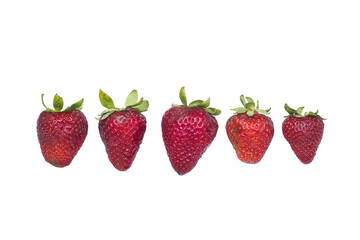 a row of strawberries