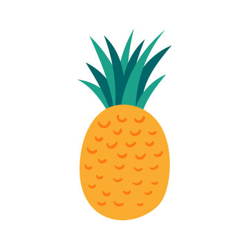 Tropical fruit pineapple hand drawn illustration. Cartoon style flat design, isolated vector. Summer food, exotic fruit, seasonal print, menu element, holidays, vacations, beach, pool party
