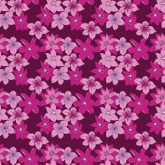 Seamless pattern with clematis. Hand-drawn bright flowers on a dark background. Beautiful and delicate flowers.