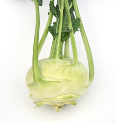Kohlrabi, Brassica oleracea var. gongylodes