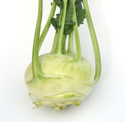Kohlrabi, Brassica oleracea var. gongylodes