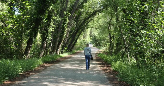lady walks in the forest mediterranean region of turkey fethiye spring time