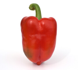 Peppers, Capsicum, annuum