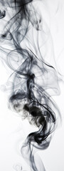 smoke, art, wave, motion, black, swirl, light, curve, pattern, shape, flow, fire, woman, ink, design, color, smooth, illustration, water, texture, hair, flowing, mist, generative, ai