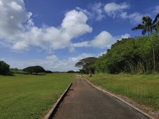 a beautiful golf course