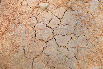 cracked clay surface due to lack of water in the dry season. this cracked, light orange clay is suitable for wallpaper or background. ground level. clay can be used as raw material for pottery.