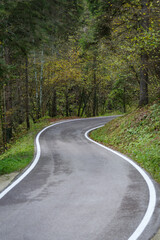 Fototapeta na wymiar Road through the wooded area, Dolomites; Trentino Alto Adige; Italy