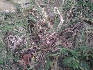 Green moss on the ground
