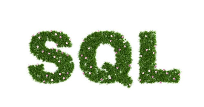SQL sign made of green grass with flowers, the concept of increasing the database or the growth of knowledge in training, anination video 4k, 3d rendering