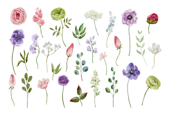 collection of spring flowers