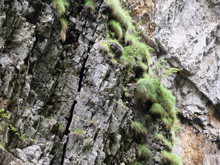 Felspalt, Bergsturz, Riss, Gestein, Breitachklamm, Alpen, Allgäu
