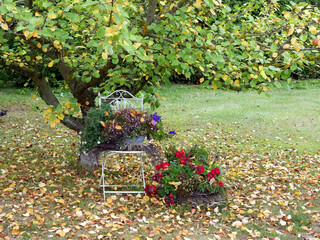 Garten, Arrangement, Dekoration, Deko, Herbst, Sommer, Stuhl, Blumen, Blätter