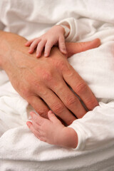 Fototapeta na wymiar Hands of father and newborn baby holding hands close up 