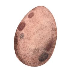 Brown egg. watercolor illustration