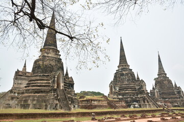 Fototapeta premium pagoda of Wat Phra Si Sanphet or temple of the holy, splendid Omniscient in sky background