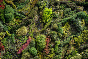 Green forest with lush trees