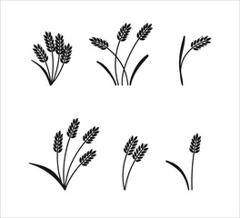 Wheat ears. Barley or rice black silhouette, beer or bakery logo isolated elements, organic farm elements for label and emblem, bread packaging, decorative objects, ripe spikelets, vector set