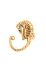 dried seahorse skeleton on a white background, isolated