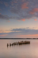 Line of cut tree trunks on a shore of the Baltic Sea near Greifswald, Germany at sunset