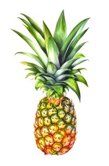 Fototapeta premium Watercolor illustration of a pineapple isolated on white background. Generative AI.