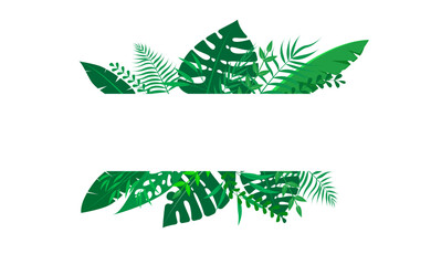 Vector floral frame Forest fern tropical leaf folliage