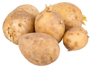 Sprouted potatoes
