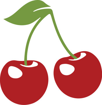 vector colorful cherry fruit illustration design