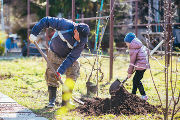 Happy father and daughter planting a new tree in the village in spring